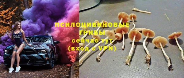 прущая мука Верхний Тагил