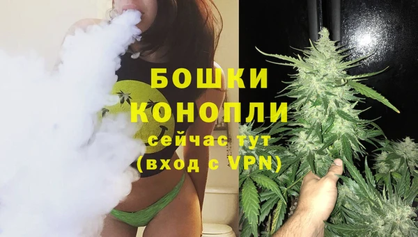 гашик Сясьстрой
